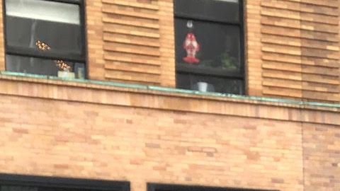 El miembro del "Dream 9" sigue visibilizando la lucha de los inmigrantes.