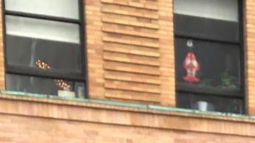 El miembro del "Dream 9" sigue visibilizando la lucha de los inmigrantes.