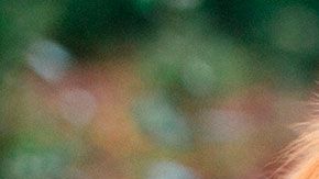 Los especialistas habían dicho que al animalito le quedaba un mes de vida solamente.