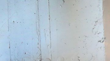 Las mujeres fueron degradadas, supuestamente, como un acto racista.