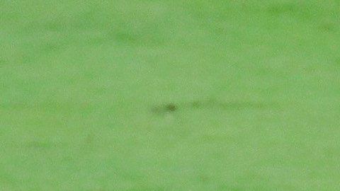 Lionel Messi se quedó con las ganas de celebrar el gol del triunfo para el Barça.