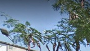 Middle School 217, en Briarwood