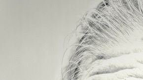 mujer-viejita-Free-Photos en Pixabay