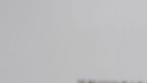 Ninel Conde siempre polémica.