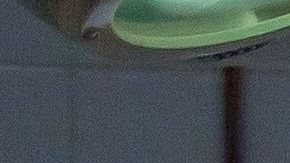 Los errores médicos pueden ser terribles.