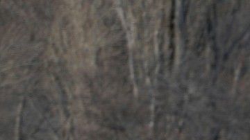 Ambos competidores del equipo Hyundai fueron trasladados inmediatamente a un hospital.