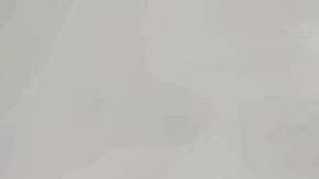 Patricia Trujano en Viena.