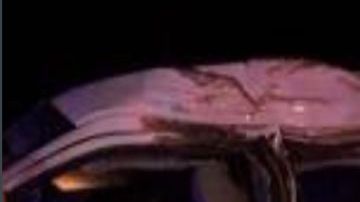 Patrulla Fronteriza detiene a 9 contrabandistas durante persecución en Laredo