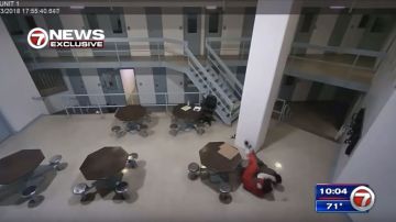 El video de seguridad de la cárcel de Broward muestra una fuerte pelea entre el asesino y el guarda de seguridad.