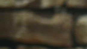 Grillo´s Pickles se destacan por ser un producto orgánico, vegano y sin aditivos.