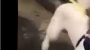 El encuentro fue sumamente emotivo.