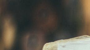 El fondue es un maravilloso platillo para los fríos días de invierno, es reconfortante, calórico y una verdadera delicia.