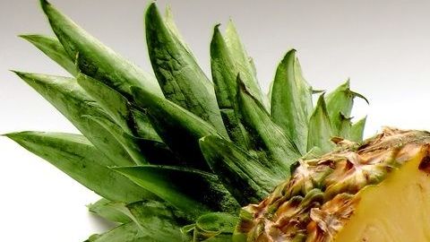 El consumo de jugos verdes es uno de los mejores remedios para regular el tránsito intestinal.