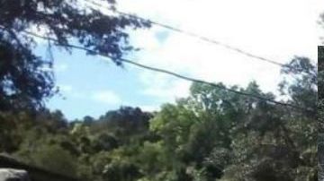 Piden detener a integrantes del Cártel de Los Ardillos por matar y quemar a 10 músicos