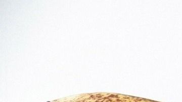 Plátano maduro-PublicDomainPictures en Pixabay