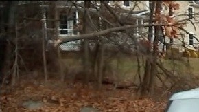 La Ruta 300 fue parcialmente cerrada