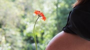 Era la segunda vez que prestaba su vientre a otra mujer.