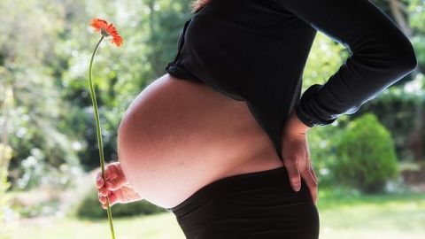 Era la segunda vez que prestaba su vientre a otra mujer.
