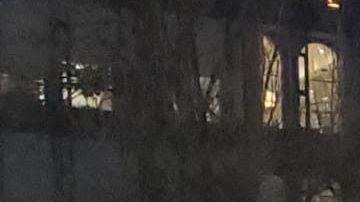 Miembros de la diáspora boricua levantaron sus voces este 23 de enero, 2020, contra el gobierno que lidera Wanda Vazquez.