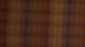 Los pug se han vuelto muy populares en los últimos años.