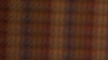 Los pug se han vuelto muy populares en los últimos años.