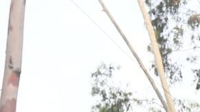 Alan Pulido, delantero mexicano.