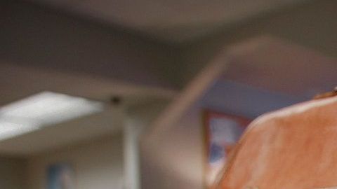 Estos son los objetos que puedes llevar en el equipaje de mano. *Foto: NeONBRAND vía Unsplash