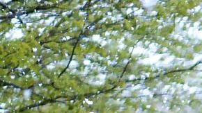 Se espera más lluvia que nieve.