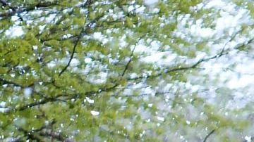 Se espera más lluvia que nieve.