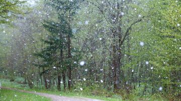 Se espera más lluvia que nieve.