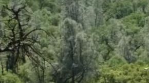 El terreno que podría ser convertido en parque rebasa las 50 hectáreas y abarca 4 condados.