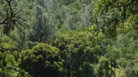 El terreno que podría ser convertido en parque rebasa las 50 hectáreas y abarca 4 condados.