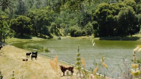 El terreno que podría ser convertido en parque rebasa las 50 hectáreas y abarca 4 condados.