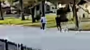 El incidente ocurrió el pasado 25 noviembre del 2019 .