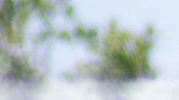 Agentes del SWAT rodean la zona de la escuela North Park.