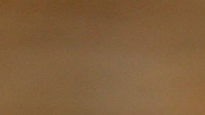 shutterstock_1007300182