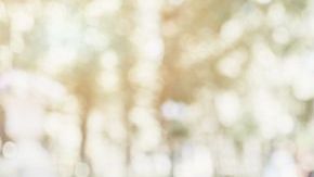 shutterstock_1017270715