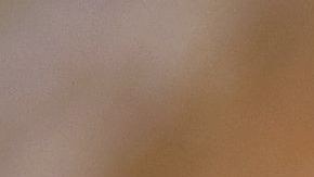 shutterstock_1020928798