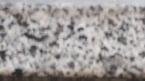 shutterstock_1119976652