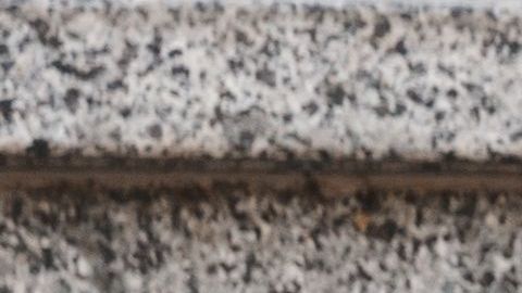 shutterstock_1119976652