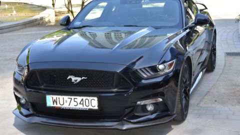 Actualmente, Ford cuenta con ocho distintos trims