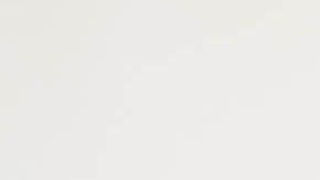 shutterstock_1135214372