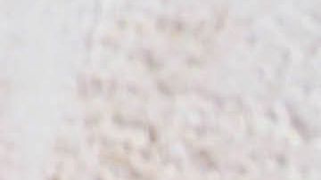 shutterstock_1140971951