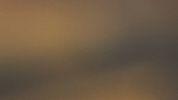 shutterstock_1165365919