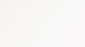 shutterstock_120274123