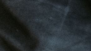 shutterstock_1224351511