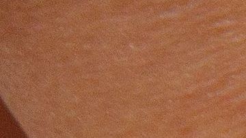 shutterstock_1229178862