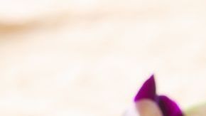 Integra una porción de lechuga durante la cena para combatir de manera natural el insomnio.