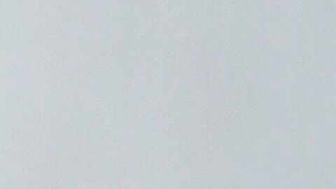 shutterstock_1410081254