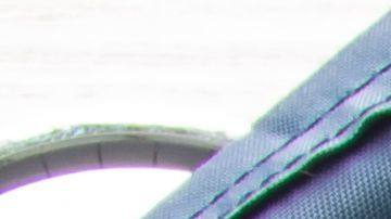 shutterstock_1512081263